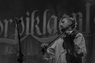 Bang-Your-Head-20150716 Korpiklaani--6247