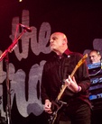 Bearded-Theory-20140524 The-Stranglers-Cz2j7883