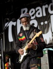 Bearded-Theory-20150524 Misty-In-Roots-Cz2j0571