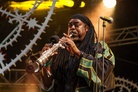 Bestival-20130905 Courtney-Pine 4791