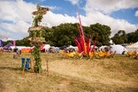 Blissfields-2014-Festival-Life-Alan 4054