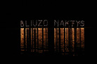 Bliuzo Naktys 2009 051