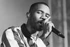 Bravalla-Festival-20130628 Frank-Ocean 1007