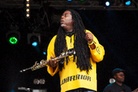 Camp-Bestival-20140801 Courtney-Pine 6874