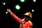 Emmabodafestivalen-20150722 Lee-Scratch-Perry 4898