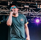 Falls-Downtown-20190106 Hilltop-Hoods-Xpr09937