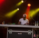 Furuvik-Reggaefestival-20130816 Exco-Levi 7981