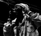 Furuvik-Reggaefestival-20130817 Capleton-05233