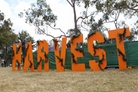 Harvest-Sydney-2011-Festival-Life-David-Dpp 0001