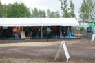 Hultsfred 2008 9842