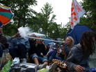 Hultsfred 2008 13355