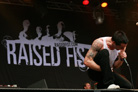 Hultsfred 2008 Raised Fist 9910