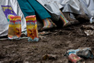 Hultsfred 2009 58