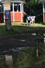 Hultsfred 2009 375
