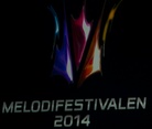 Melodifestivalen-Malmo-2014-Publik-Och-Show 3080