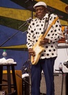 New-Orleans-Jazz-And-Heritage-20160501 Tribute-To-B.B.-King--1005