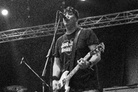 Punk-Rock-Holiday-20140806 Adolescents 5307