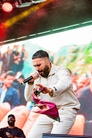 Rosendal-Garden-Party-20250615 Biji 6786