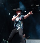 Skogsrojet-20240802 Saffire 0080