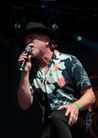 Skogsrojet-20240802 Saffire 0131