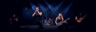 Skogsrojet-20250801 Sacred 8263