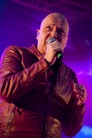 Skogsrojet-20140801 Unisonic Pbh3491