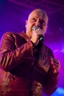 Skogsrojet-20140801 Unisonic Pbh3491