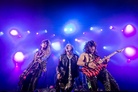 Skogsrojet-20140802 Steel-Panther D4s1049