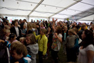 Sommarrock Svedala 2008 6951 Crowd