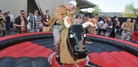 Sommerfesten-20130519 Bullriding 5171