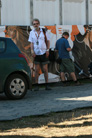 Sziget 2008 7710