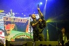 Sziget-20150814 Dropkick-Murphys 6530