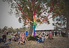 Falls-Festival-Marion-Bay-2012-Festival-Life-Tameika--0134