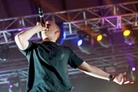 Falls-Festival-Marion-Bay-20121230 Hilltop-Hoods 0274 2