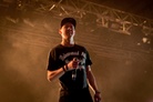 Falls-Festival-Marion-Bay-20121230 Hilltop-Hoods 0277