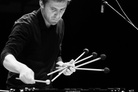 Vilnius-Jazz-20131010 Pascal-Schumacher-Quartet 4313