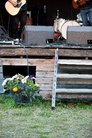 Visfestival-Holmon-2011-Festival-Life-Kalle- 4032