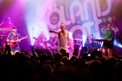 Oland Roots 2010 100717 Kapten Rod 9353