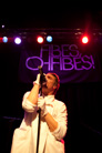 20091017 Fibes Oh Fibes Babel Malmo294