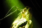 20130104 The-Itch-Debaser-Malmo 8994