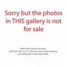 20130516 Kopek-013-Tilburg-Photos-Not-For-Sale