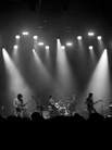 20250613 Post-Animal-Annexet-Stockholm-03303